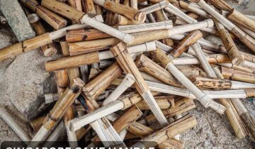 Cricket Bat Handle Shapes Explained: Power, Control & Comfort