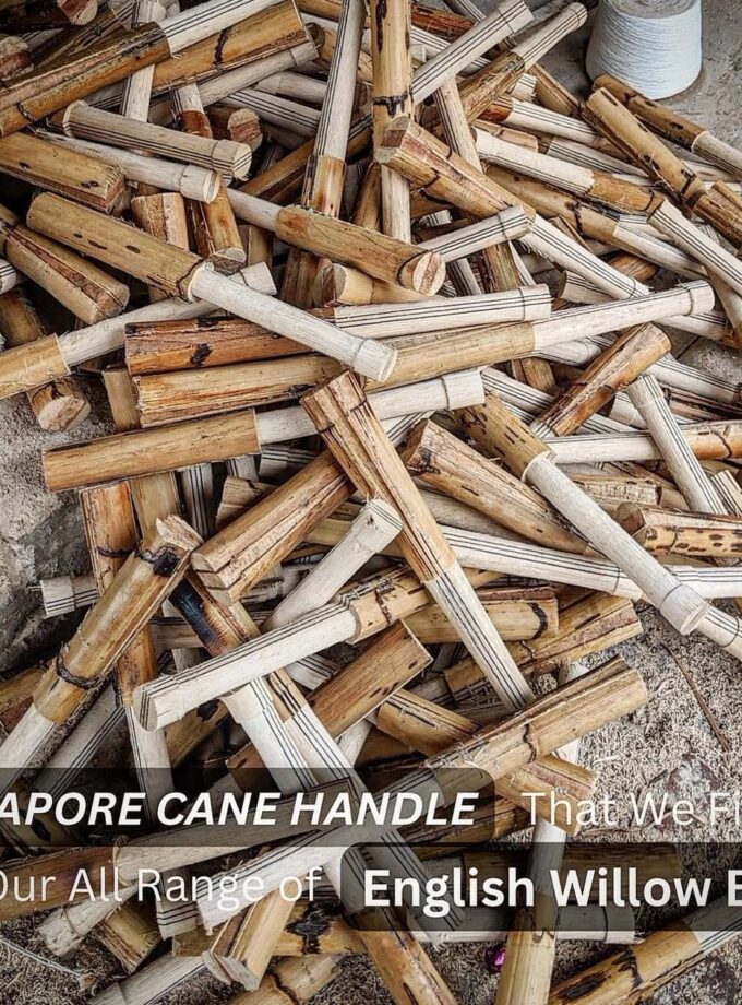 cricket bat handle and its shapes